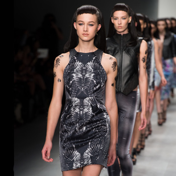 Image "Catwalk Show" by Rob Sheppard