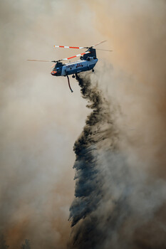 Image "Into The Fire" by Lloyd Horgan