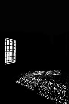 Image "Window" by Amira Skopljak