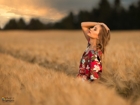 Image "Golden Sunset" by Mladen Dakic