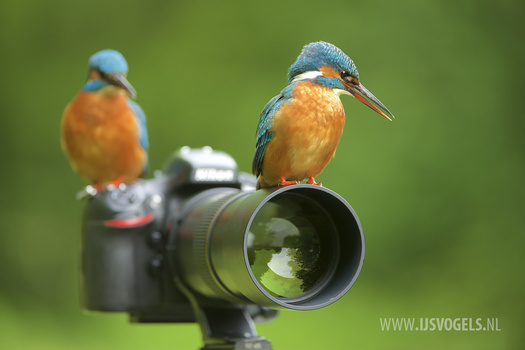 View You focus, I press the shutter! by Corné van Oosterhout