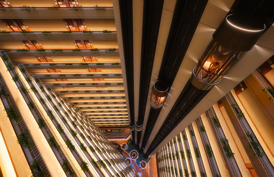 View Vertigo by Lionel Fellay