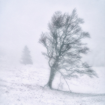 Image "Resilience II" by Lionel Fellay