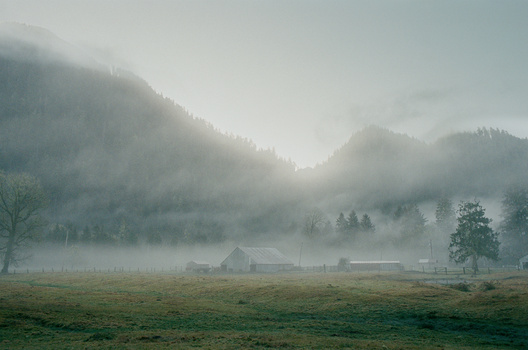 Image "Misty Washington Morning" by Vince McManus