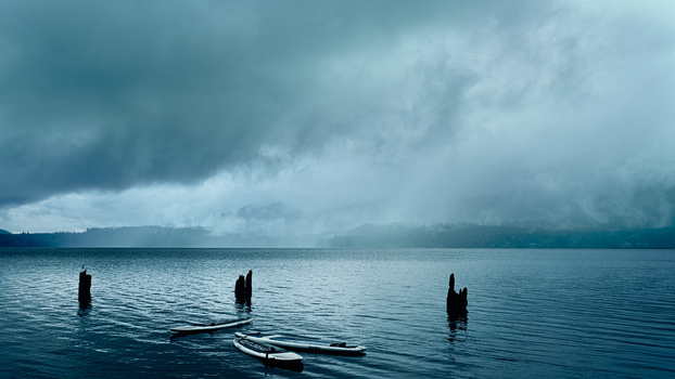 Image "Lake Quinault" by Vince McManus