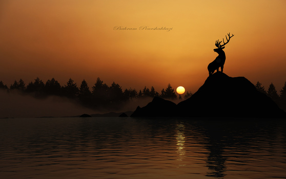Image "Look at" by Bahram Pourshahbazi