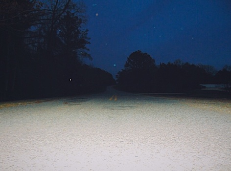 Image "Untitled 1" by Kaycee Lowe