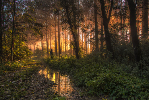 Image "Meeting with the Sun" by Szecsenyi Susanna