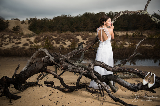 Image ""Bride by the Dead Trees"" by Jason Hampden