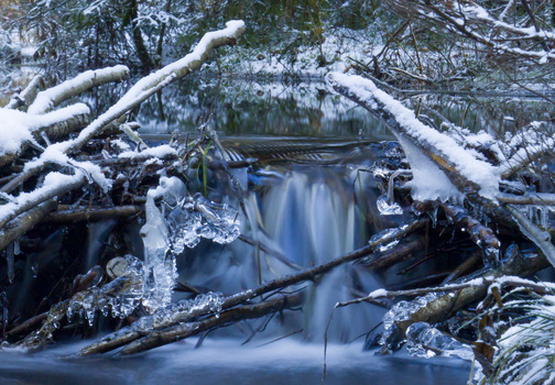Image "Ice Sculpture" by Holger Genenger