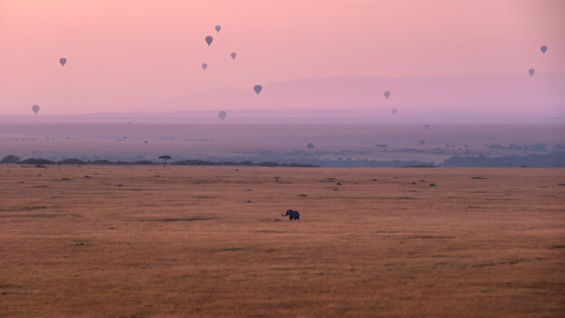 Image "African Sunrise" by Tyler Beard