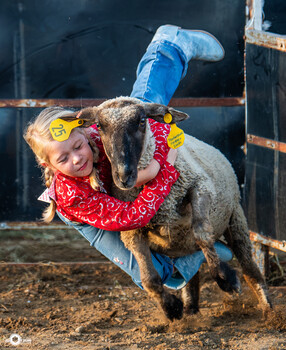 Image "Hangin' in there for a prize." by Ken Kraxberger