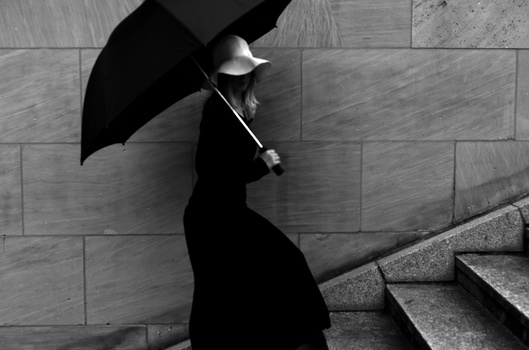Image "Coverage" by Sebastian Ugovsky