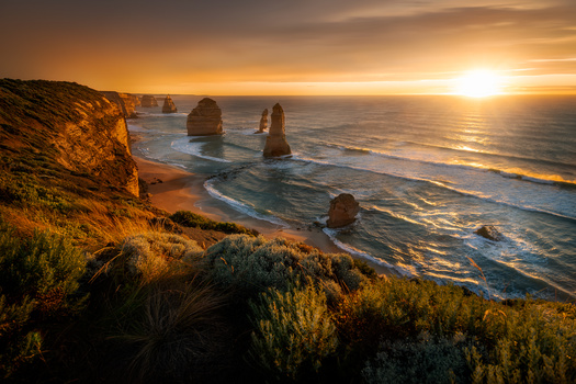 Image "Resilience" by Danny Tan