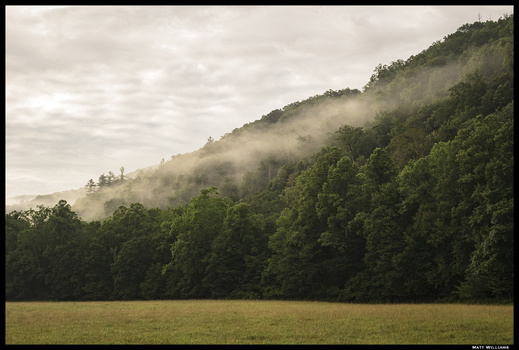 Image "Cataloochee Fog" by Matt Williams