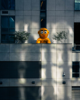 Image "Friendly Guy Looks Lonely" by Gordon Brown
