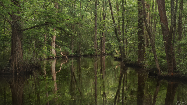 Image "Bethel Creek" by Ed Sanford