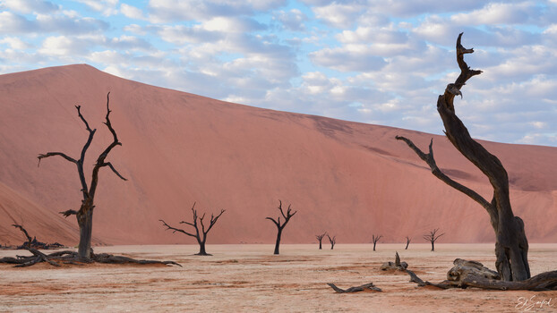 Image "Deadlvei, Namibia" by Ed Sanford