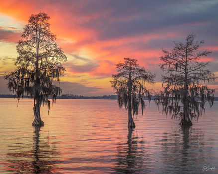Image "Fire in the Sky, Chowan River" by Ed Sanford
