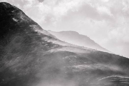 View Untitled 2 by Arthur q