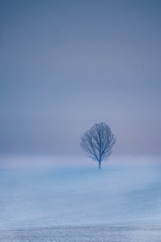 View Braving the Storm by Mark Rutt