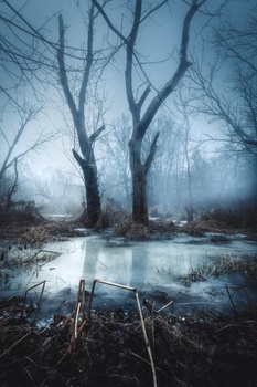 View Winter Remains by Mark Rutt