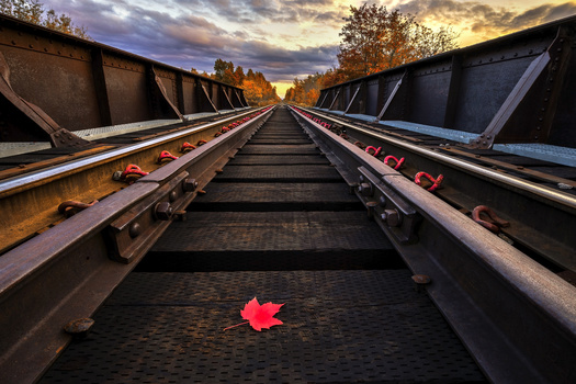 Image "Untitled 42" by Stephen Clough
