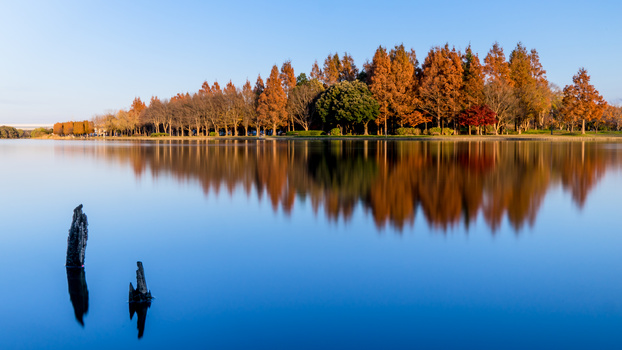 Image "Autumn in Tokyo" by Hisahiro Suganuma