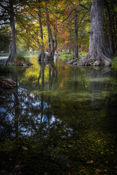 Image "Serene Waters at the Frio River" by Rod Bruno