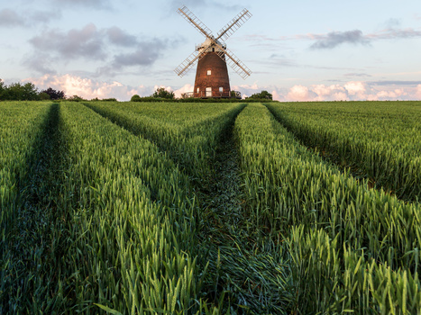 Image "John Webb's Windmill" by Alan Godfrey