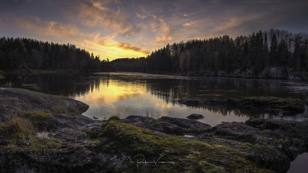 Image "Local view" by Robin Vinaccia