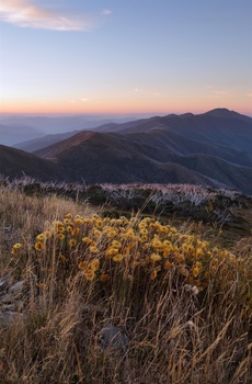 Image "Razorback Ridge" by Peter N