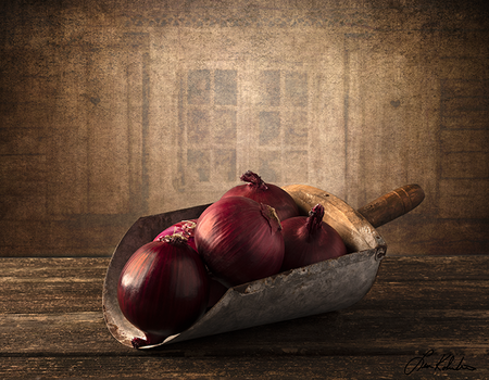 Image "Onion Still-Life" by Leon Kolenda