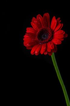 View Untitled 3 by Henning F