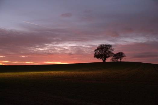 Image "Sunset Field " by Chris Tiller