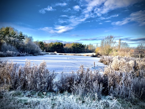 Image "Winter is here" by brian wheatley