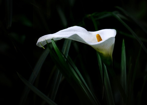 View Untitled 8 by Kristof Raemdonck