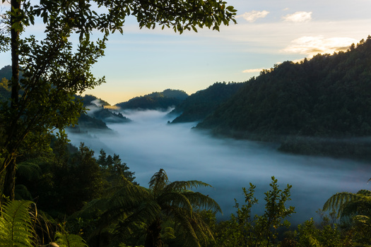 Image "Fog in the Hollows" by Luke Hamlin