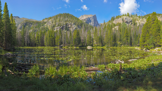 Image "Nymph Lake, Rocky Mtn. National Park, Colorado" by John Freeman