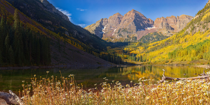 Image "Maroon Bells, Fall Colors and Daisies" by John Freeman