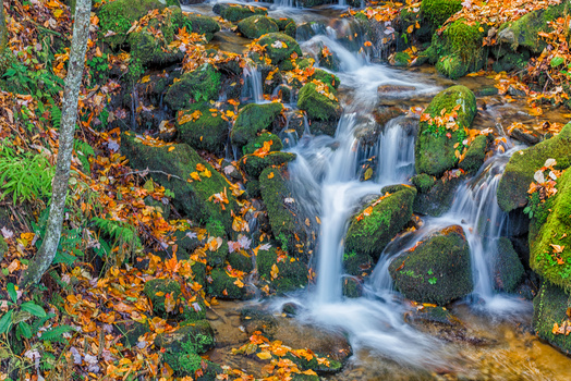 Image "Autumn Falls" by Richard Higgins