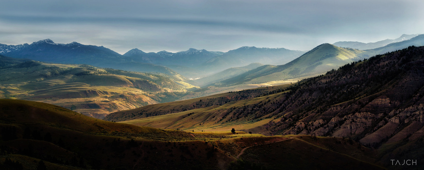 View Untitled 9 by Agustin Tajch