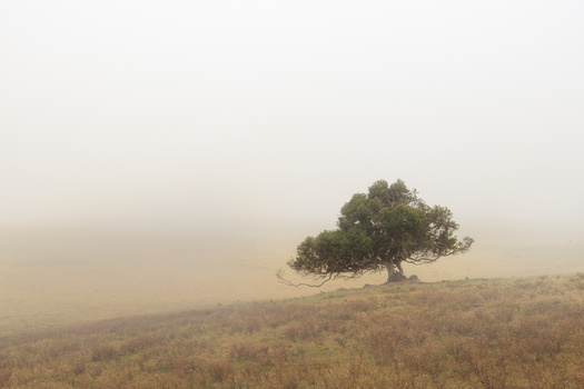View Untitled 4 by steven algie