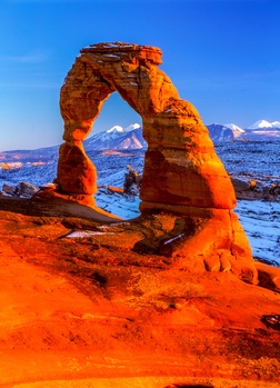 View Untitled 10 by Michael Giacobbe