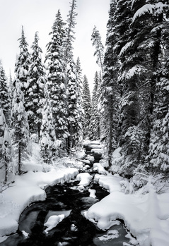 View Crossing Tumalo Creek by TYLER YATES