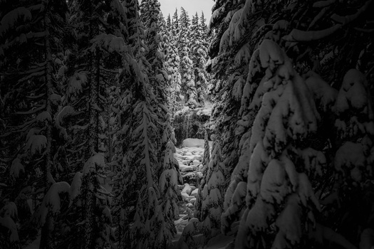 View Falls through the Forest by TYLER YATES