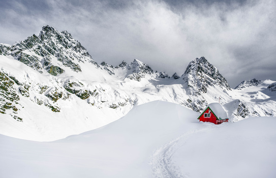 View Mint Hut by TYLER YATES