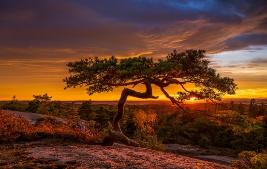 Image "Crooked" by Hans Jørgen Lindeløff