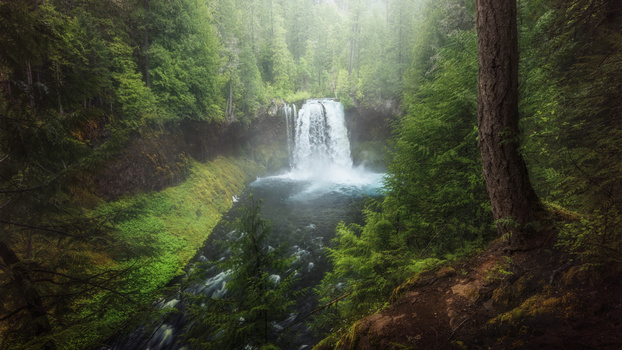 Image "Koosah Falls" by Mike Yackulic