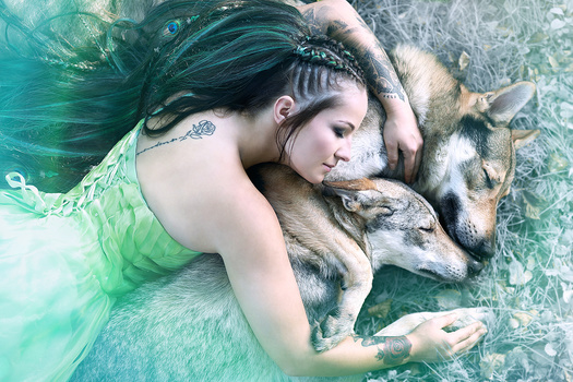 Image "Dreaming of Wilderness" by Hanna Wimmer